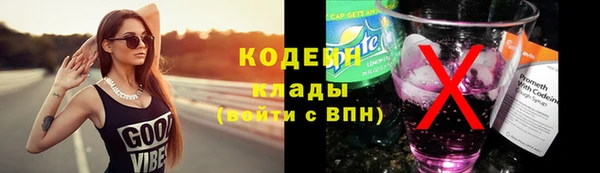 не бодяженный Заводоуковск