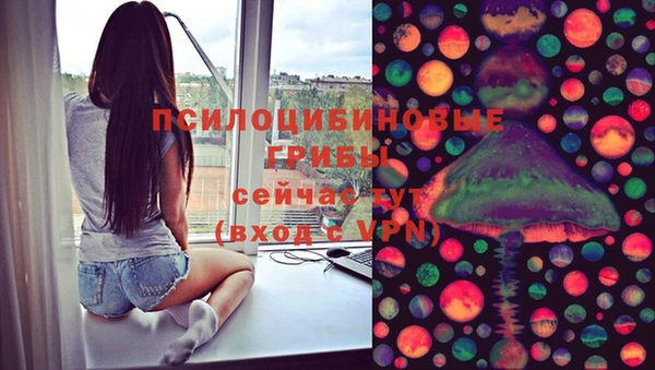 не бодяженный Заводоуковск