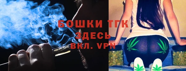 не бодяженный Заводоуковск