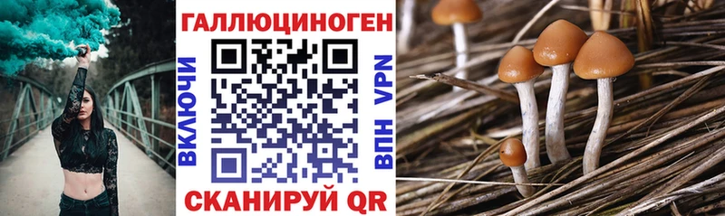 Купить где  Клинцы  Галлюциногенные грибы Magic Shrooms 