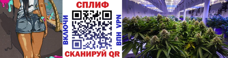 Купить где  Клинцы  МАРИХУАНА Ganja 